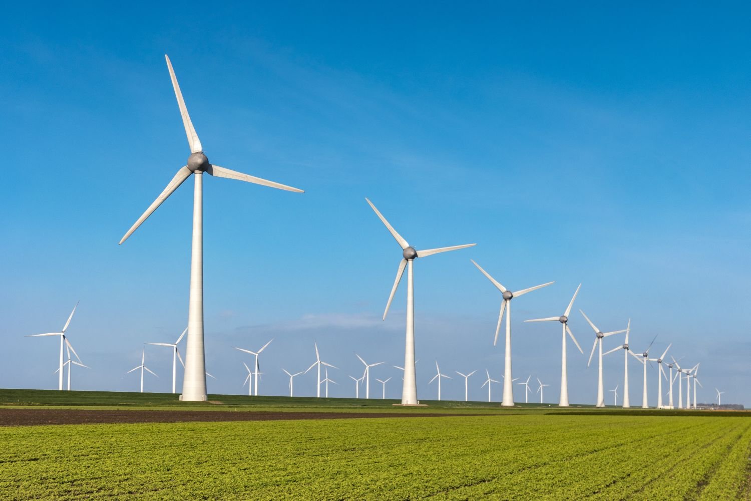 1_BDO raises PHP132 billion in sixth ASEAN Sustainability Bonds issue